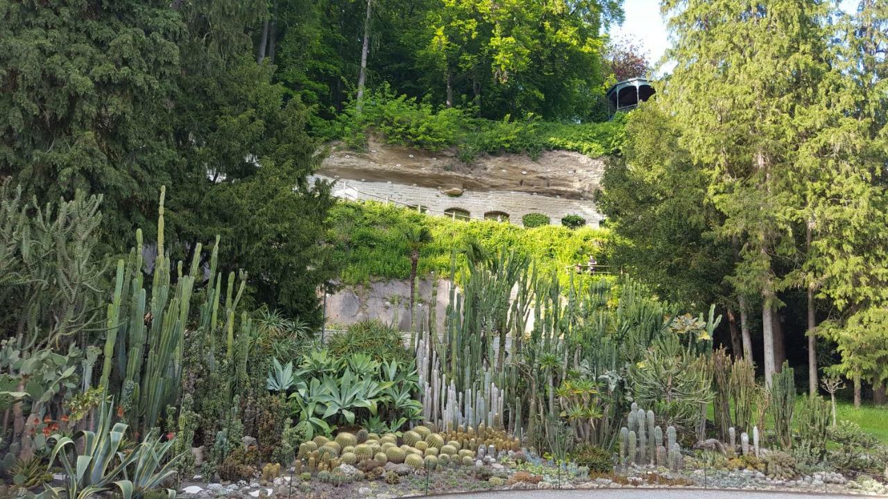 Ferienwohnung Am Waldrand Herdwangen-Schonach Luaran gambar